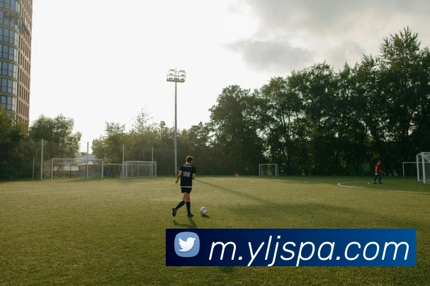 pa真人视讯平台生态图